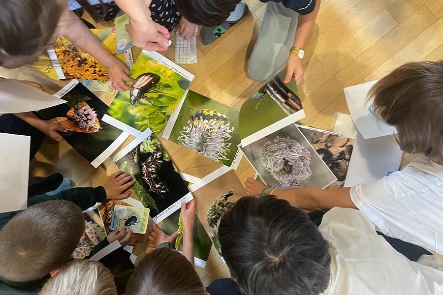 fondation-sommer-luxembourg-residence-artiste-milieu-scolaire-bombyx-keng-meck-kee-schockela